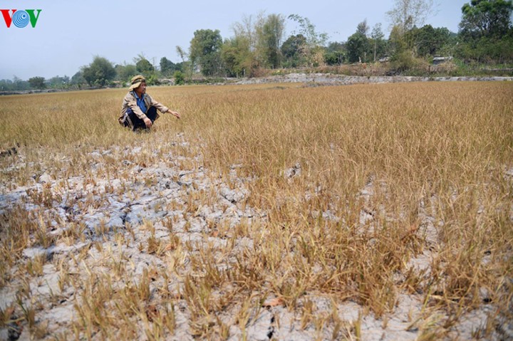 10ເຫດການພົ້ນເດັ່ນພາຍໃນປະເທດປີ 2016 ໂດຍວິທະຍຸກະຈາຍສຽງຫວຽດນາມຄັດເລືອກ - ảnh 9